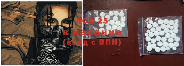 винт Липки