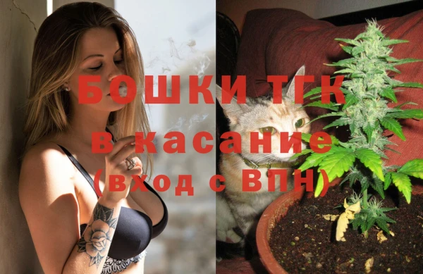 винт Липки