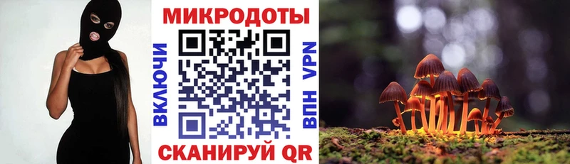 дарк нет состав  Сертолово  Псилоцибиновые грибы Psilocybine cubensis  OMG tor 